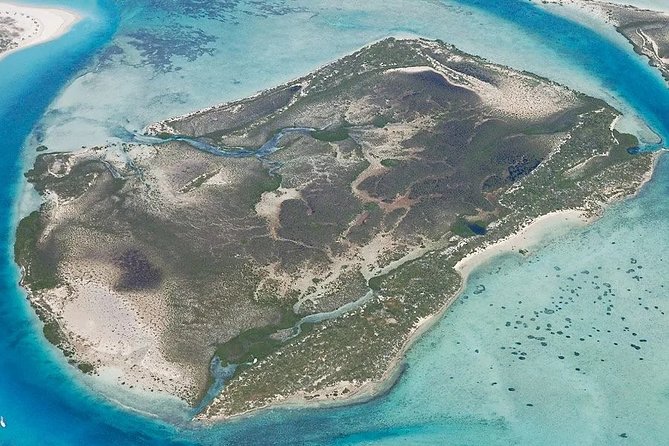 Turtle Eco Tour on Stand-Up Paddleboards or Kayaks into the National Marine Park - Turtles, sharks, and the best viewing position